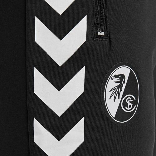 You won't Believe This.. 21+  Hidden Facts of Sc Freiburg Logo: Traditional branches of industry are viticulture, tourism and forestry.